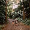 alohaautumn